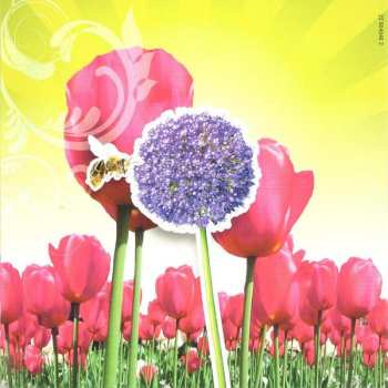 2CD Various: Hollandse Lente Hits Deel 2