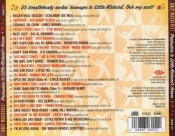 CD Various: Holy Mackerel! Pretenders To Little Richard's Throne 309974