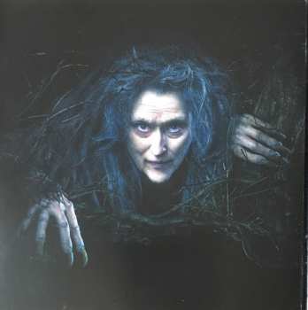 CD Various: Into The Woods 18187