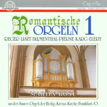 Album Various: Martin Rost - Romantische Orgelmusik Vol.1
