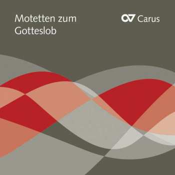 Album Various: Motetten Zum Gotteslob