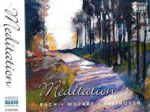 CD Various: Mozart For Meditation 523904