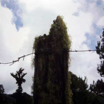 CD Various: Nature Sounds Presents Natural Selection