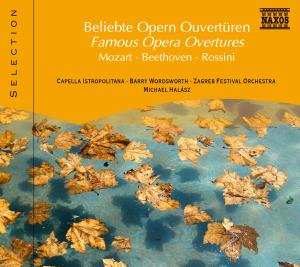Album Various: Naxos Selection: Beliebte Opern-ouvertüren