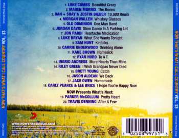 CD Various: Now That's What I Call Country Volume 13 510950