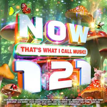 Album Various: Now That's What I Call Music 12