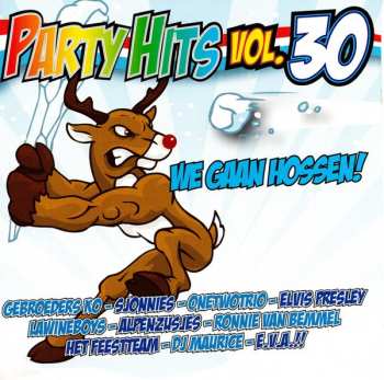 Album Various: Party Hits Vol.30 (We Gaan Hossen!)