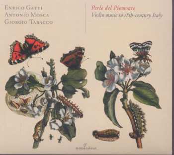 Album Various: Perle Del Piemonte - Violin Music In 18th-century Italy