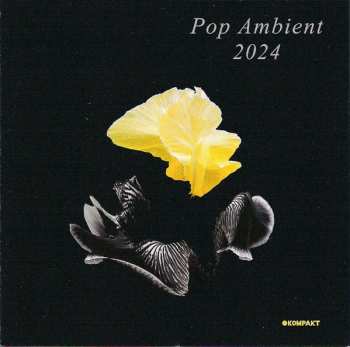 Various: Pop Ambient 2024