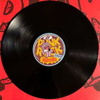 LP Various: Punk Rock Raduno, Vol. 8