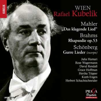Album Various: Rafael Kubelik - Wien
