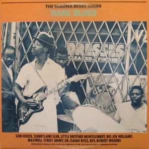 LP Various: Rare Blues (The Takoma Blues Series) - Previously Unreleased Blues Recordings From The Collection Of Norman Dayron 430864