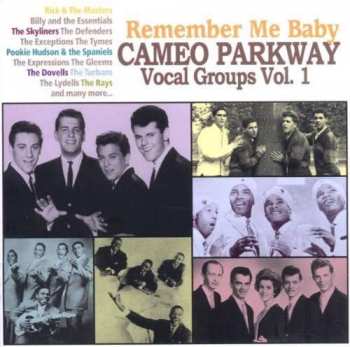 Various: Remember Me Baby - Cameo Parkway Vocal Groups Vol 1.