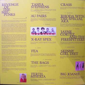 2LP Various: Revenge Of The She-Punks - A Feminist Music History 420609