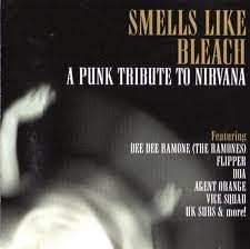 Album Various: Punk 'n' Bleach : Tribute To Nirvana
