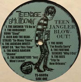LP Various: Teen Jangler Blowout! (Cool Teen Clang N' Jangle Lowdown!) 83656