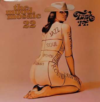 Album Various: The Mood Mosaic Vol. 22