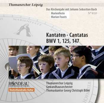 Album Various: Thomanerchor Leipzig - Das Kirchenjahr Mit Bach Vol.9