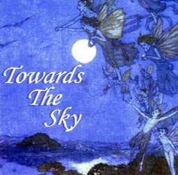 CD Various: Towards The Sky 301145
