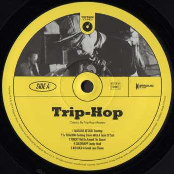 LP Various: Trip-Hop (Classics By Trip-Hop Masters) 84894