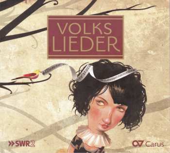 CD Various: Volkslieder Vol. 1 345810