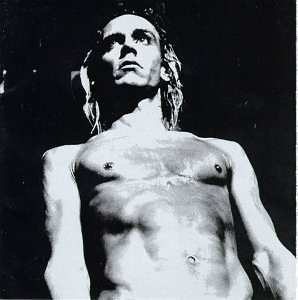 Album Various: We Will Fall: The Iggy Pop Tribute