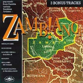 Album Various: Zambiance