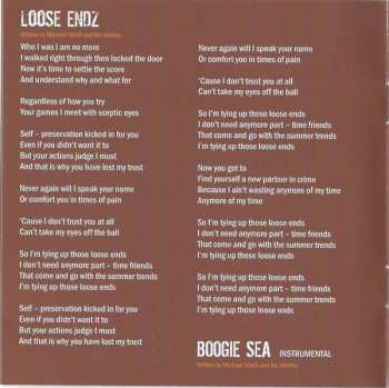 CD Vdelli: Ain't Bringing Me Down