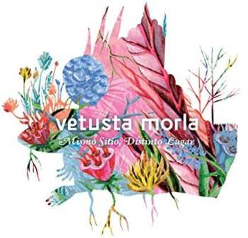 CD Vetusta Morla: Mismo Sitio, Distinto Lugar DIGI
