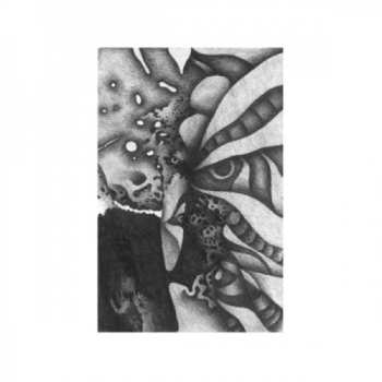 Album Vibracathedral Orchestra: Rec Blast Motorbike