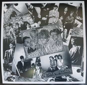 LP Videosex: Videosex