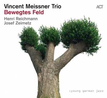 Album Vincent Meissner Trio: Bewegtes Feld