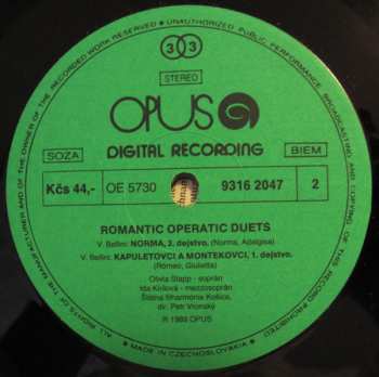 LP Vincenzo Bellini: Romantic Operatic Duets 280213