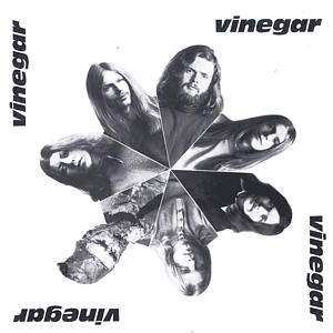Album Vinegar: Vinegar