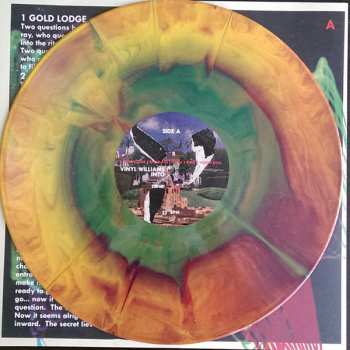 2LP Vinyl Williams: Into  LTD 66858
