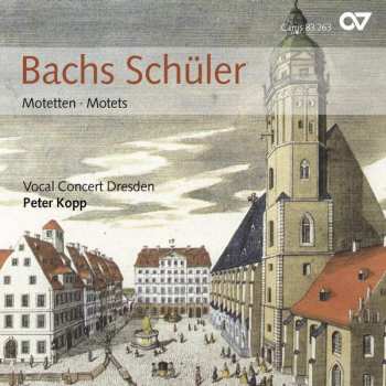 Album Vocal Concert Dresden: Bachs Schüler - Motetten • Motets