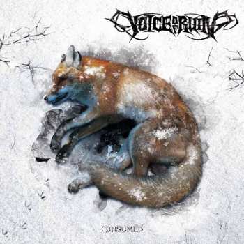 Album Voice Of Ruin: Consumed