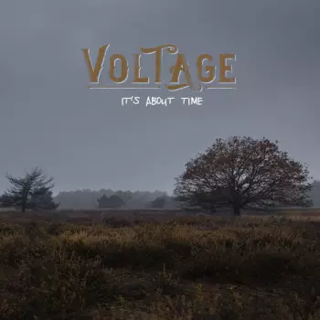 Voltage: It's About Time