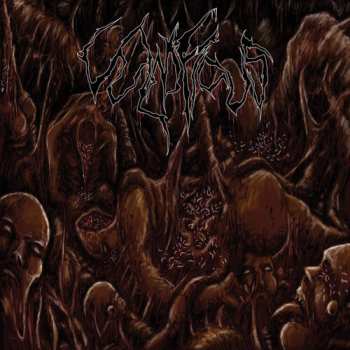 Album Vulnificus: Inclination