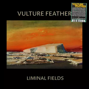 Vulture Feather: Liminal Fields