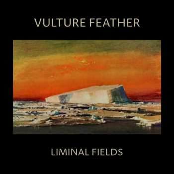 LP Vulture Feather: Liminal Fields LTD | CLR 498862