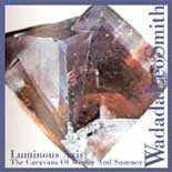 Album Wadada Leo Smith: Luminous Axis (Caravans Of Winter And Summer)