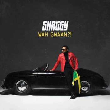 Album Shaggy: Wah Gwaan?!