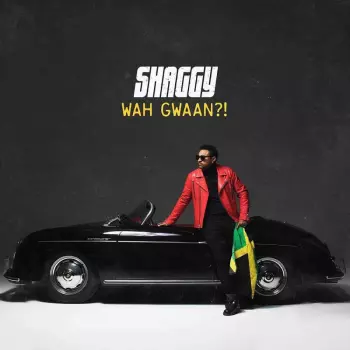 Shaggy: Wah Gwaan?!