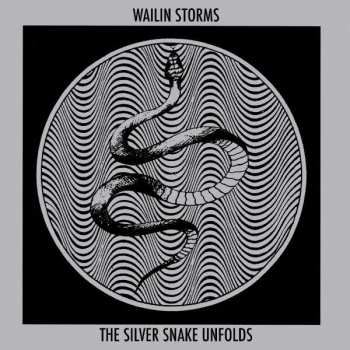 CD Wailin Storms: The Silver Snake Unfolds 409002