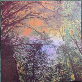LP Wake: Thought Form Descent 472942