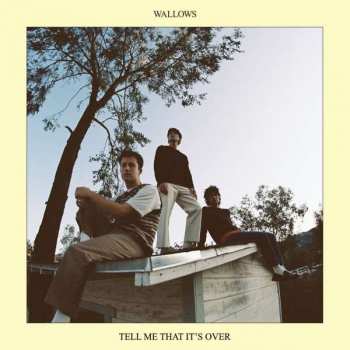 LP Wallows: Tell Me That It's Over LTD | CLR 383925
