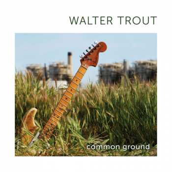 CD Walter Trout: Common Ground 7659