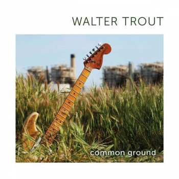 Album Walter Trout: Common Ground