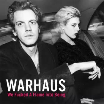 Warhaus: We Fucked A Flame Into Being